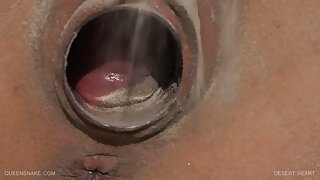 الدهون العاهرة العجوز يتمتع لحمي ديك سكس اخوات اجنبى واحد من المراهقون المتأنق